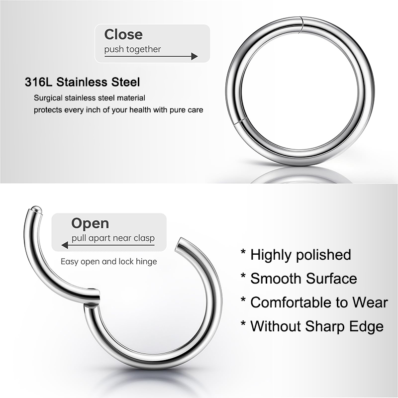 16G 316L Surgical Steel Hinged - Body Jewelry Earrings 评论和价格
