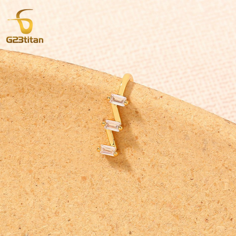 1pc Fake Nose Piercing Ring Wo - Body Jewelry Earrings 评论和价格