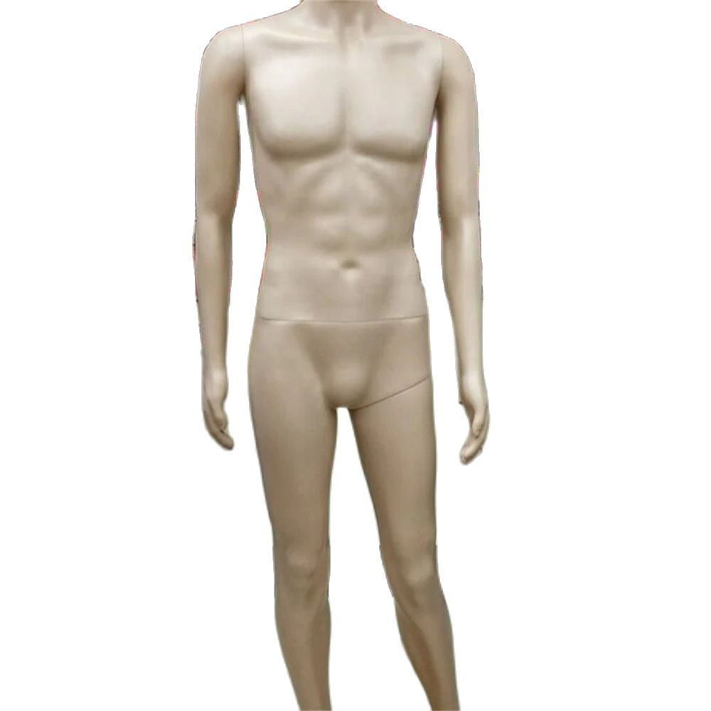 183cm Full Plastic Torso Manne - Body Jewelry Plus 评论和价格